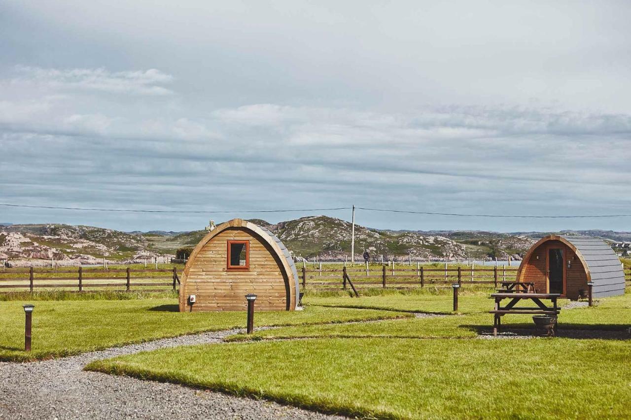 Pods * Iona